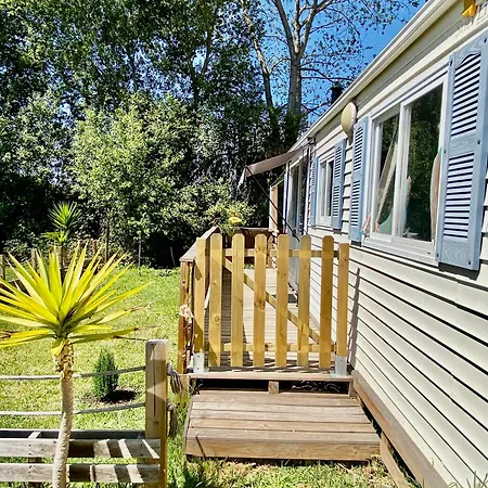 Kamp alanı Sunflower Soulhouse Pataias