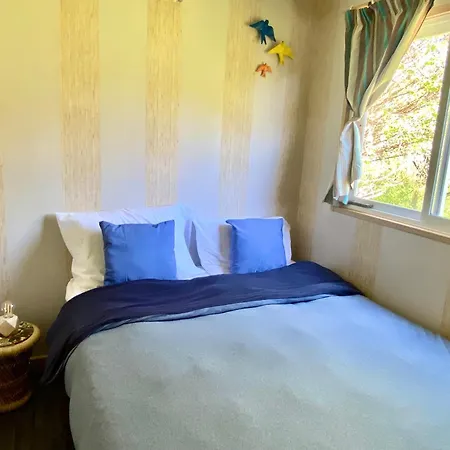 Sunflower Soulhouse Pataias